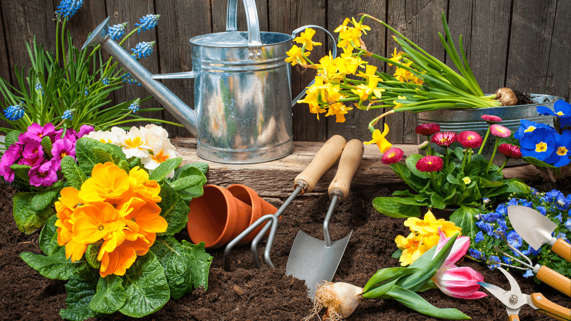 while gardening plants water can