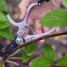 lavender garden pruners gardening pruners garden tools