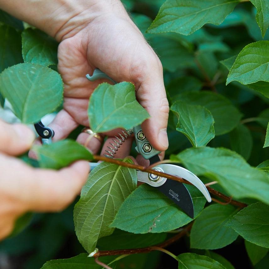 sage garden pruners gardening pruners garden tools