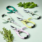 colorful garden pruners gardening pruners garden tools